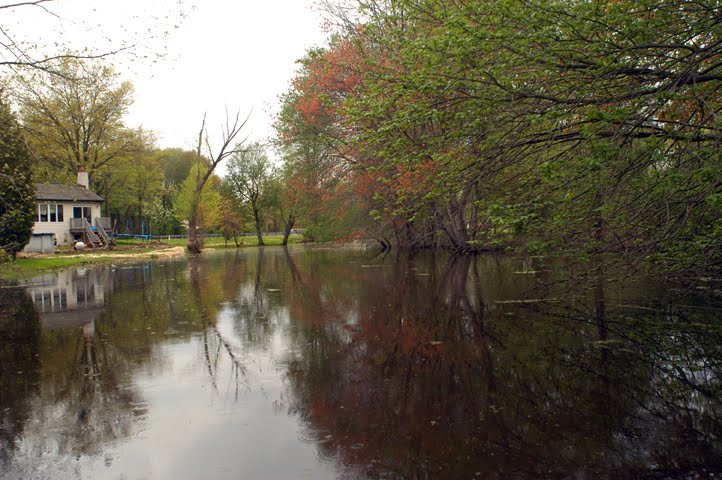 Repaupo Creek, Nehaunsey Creek by hoganphoto