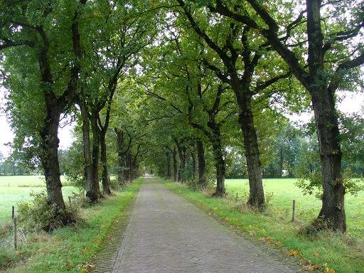 Meerweg - Nietap by Jannes Aalders