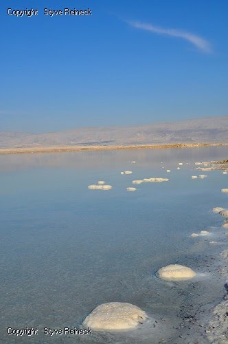 Dead Sea by Styve Reineck