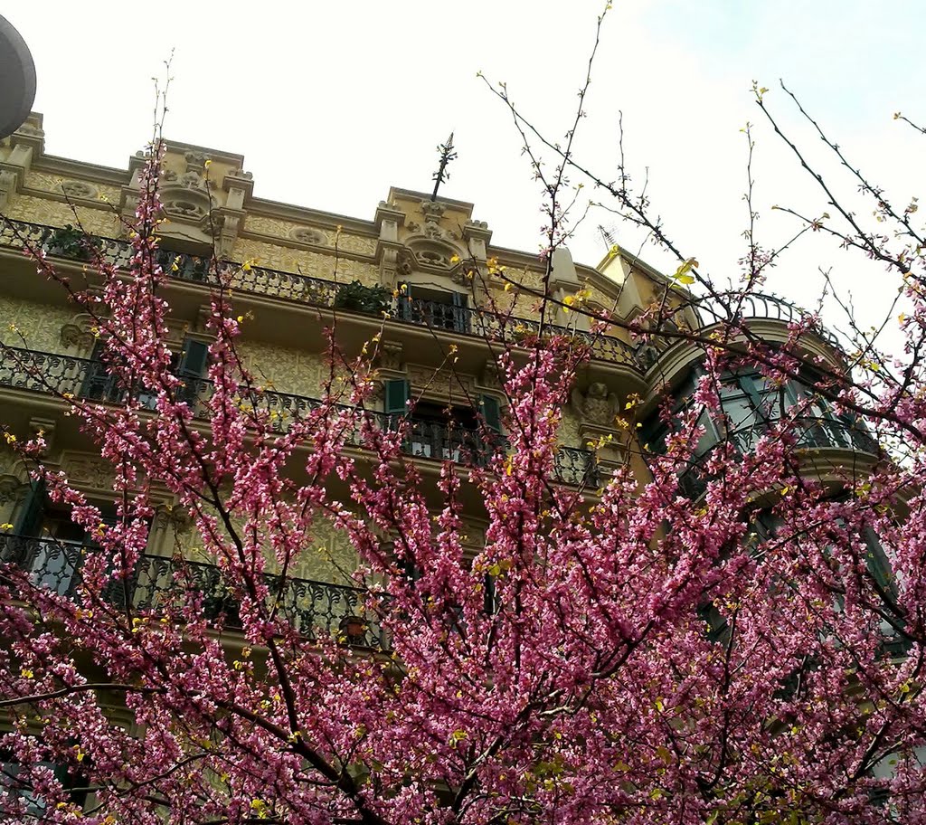 Carrer Aribau,Barcelona by Josep M.T.