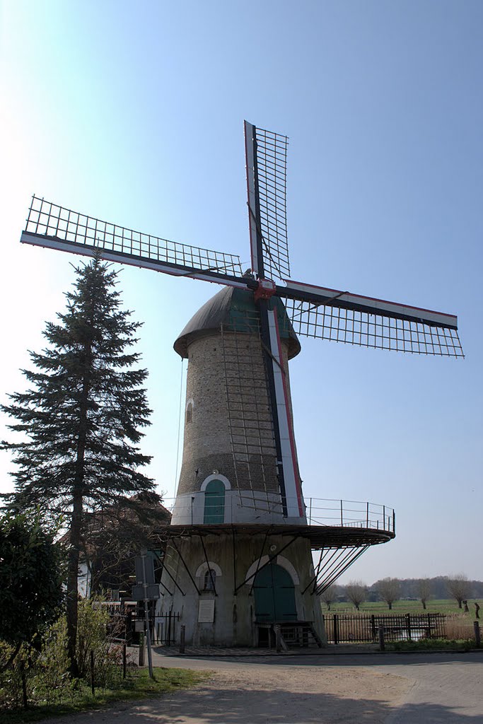 Kilsdonkse molen in Heeswijk-Dinther by Marian de Klerk