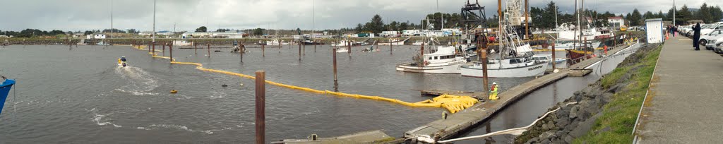 Tsunami damaged Citizen's Harbor, Crescent City, California March 26, 2011 - 230 by Larry Butcher