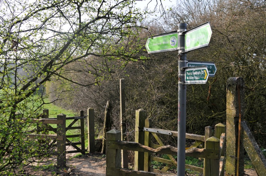 London Loop walk. South Oxhey. by Xiaofei Zhang