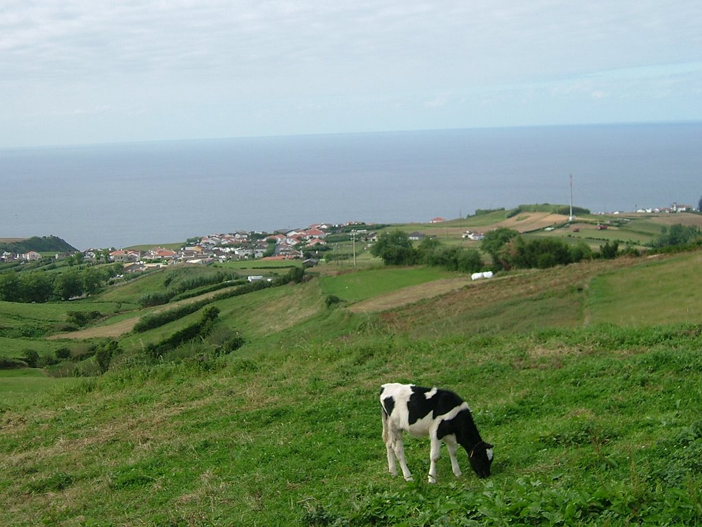 2007 - Achada, Pasture by cbotel