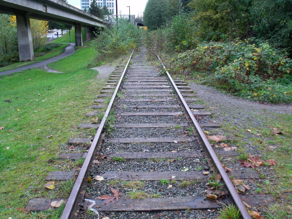 Inter-Urban Railway by Bad Biker