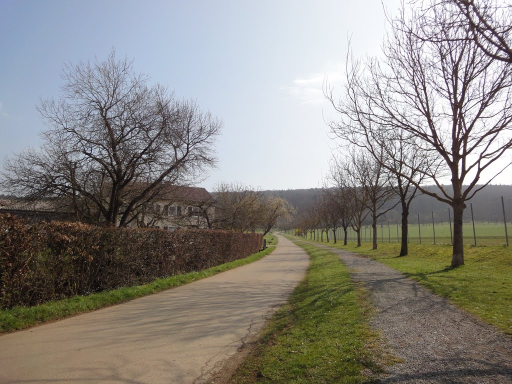 RAdweg Richtung Tübingen by partyzion