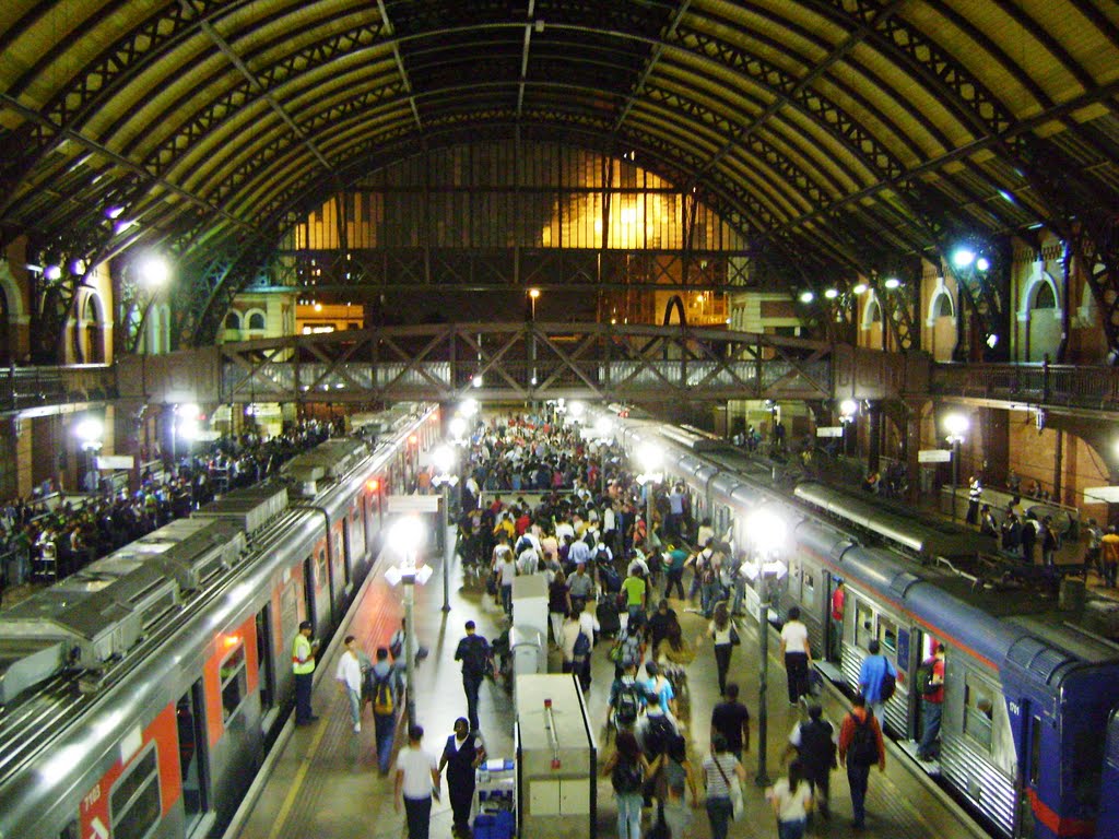 Estação da Luz – São Paulo, 2011 by Daniel Souza Lima