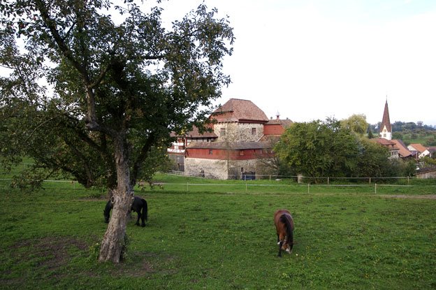 Schloss Hagenwil by MaCello