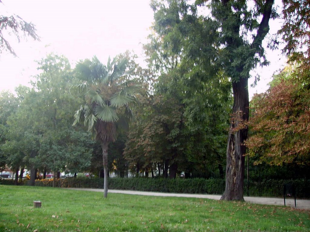 Parque del Retiro by Ricardo Ricote Rodrí…