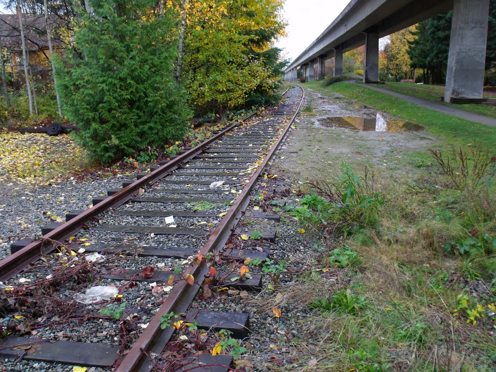 Inter-Urban Railway by Bad Biker