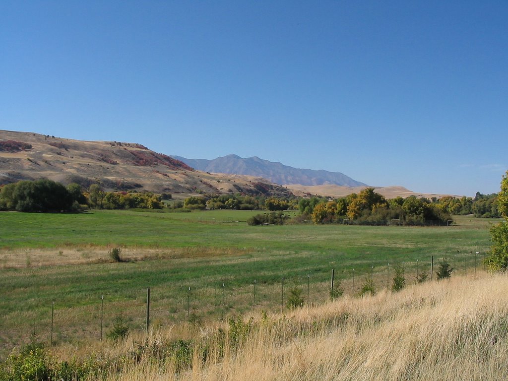 Paradise Valley Orchard by wogger