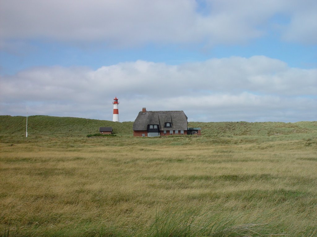 Typische Landschaft auf Sylt by Wolfgang Bantz