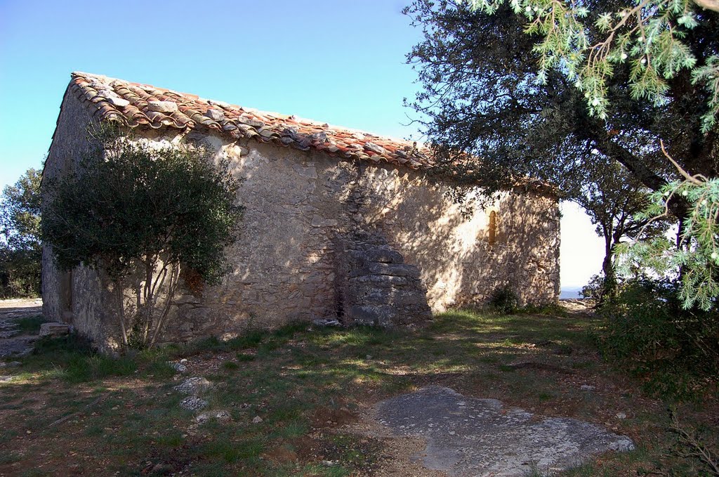 Cim de Sant Roc - 590 m - Garrotxa-Gironès-Selva. by Marcel Puig Puig