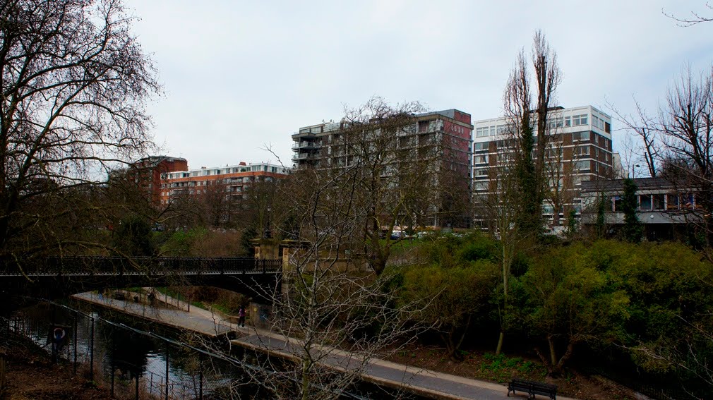 LONDON ZOO - VIEW TOWARDS PRINCE ALBERT ROAD by Paul HART