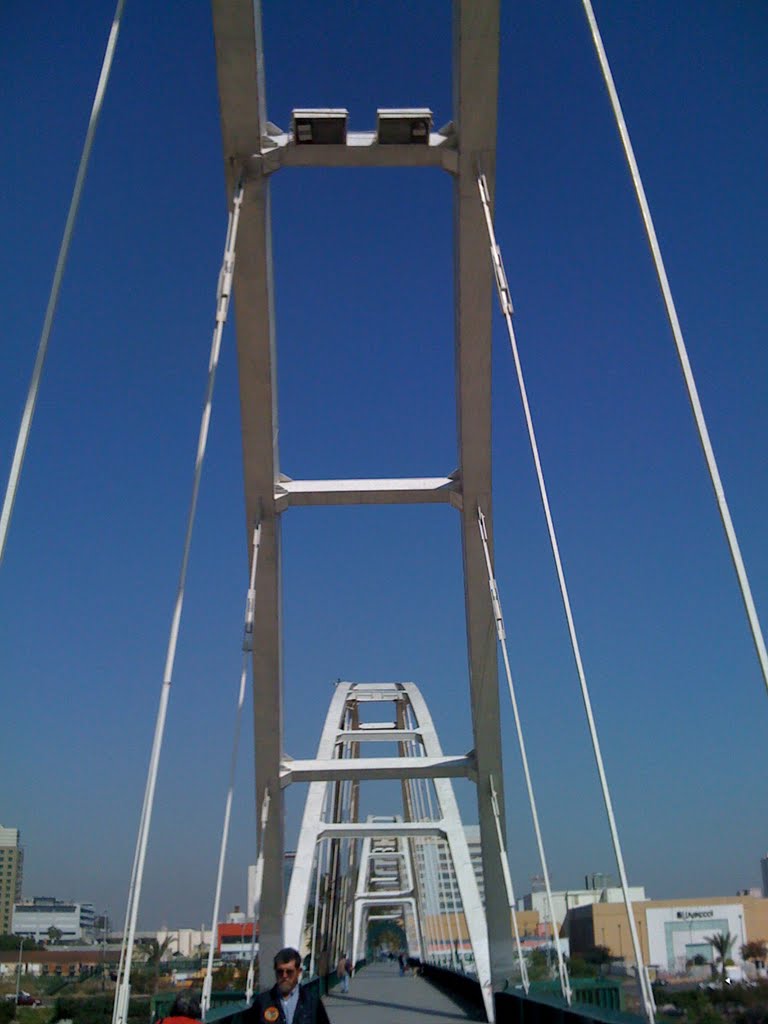 Puente del Papa o de San Luisito. by Federico Cárdenas