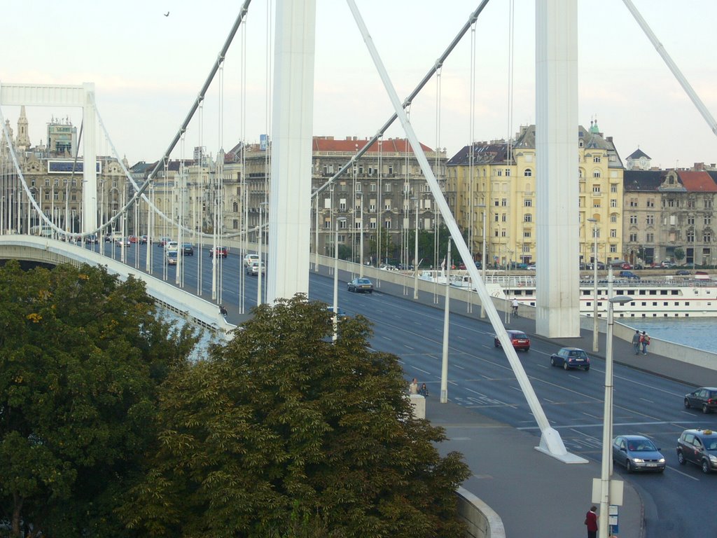 Erzsebet bridge by DiaP