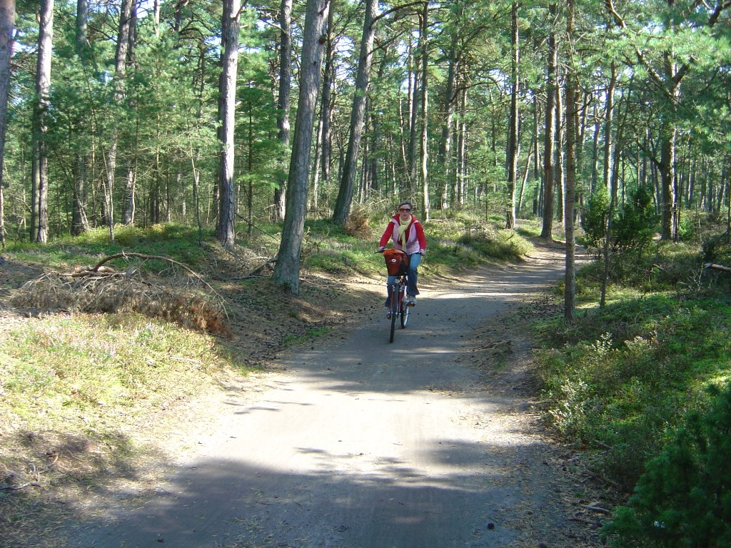 Met de fiets door het bos by Lecleire Jacques