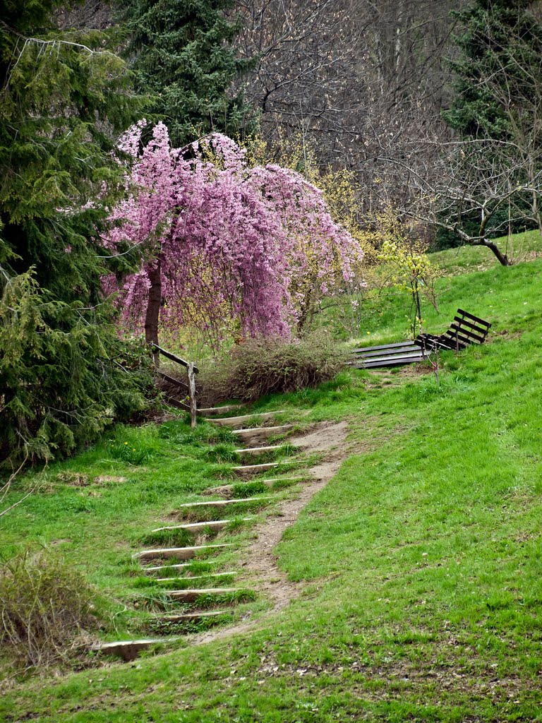 La scalinata verso il "Paradiso" (terrestre), sedersi e lasciarsi alle spalle per qualche istante gli assilli giornalieri by Giancarlo Ticozzi