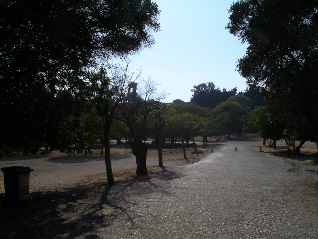 Trees lining park of ancient acropolis by thearnie