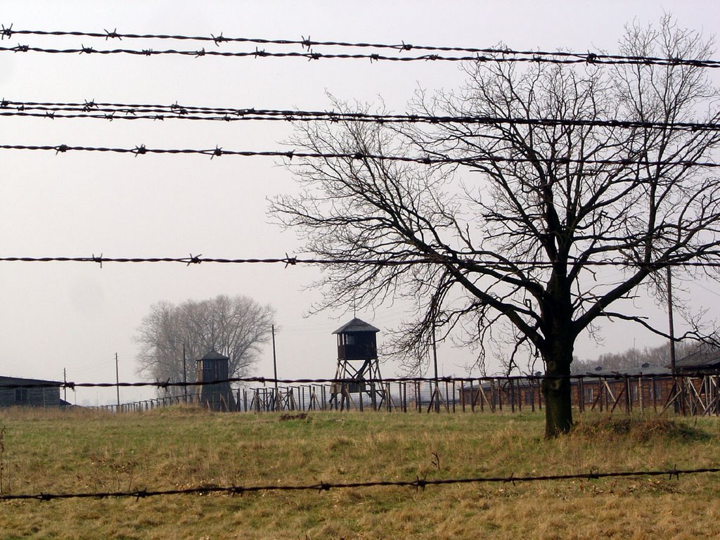 Majdanek Extermination Camp by Lui Brandt