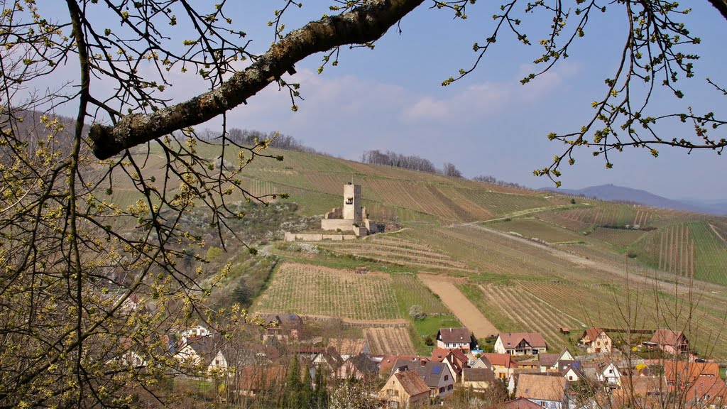 Château du Wineck - Katzenthal by soitel