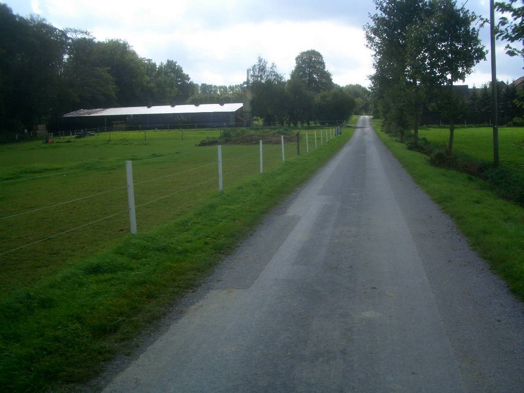 Die Straße zum Hof in Seppenrade. by Alfons Kortmann