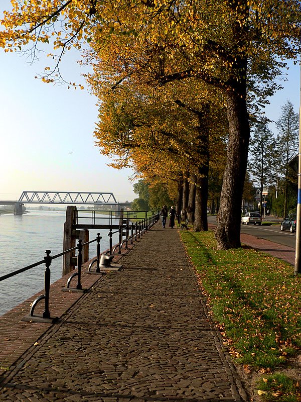 IJsselkade Deventer Herfst by wauwtie