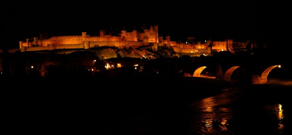 Citadel at night from Pont Neuf, Carcassonne, France by thearnie