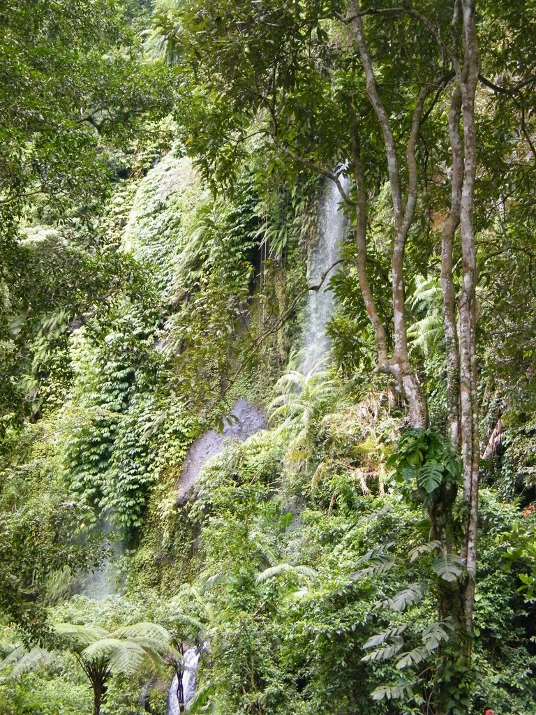 Next to Sendang Gila waterfall by trexico69