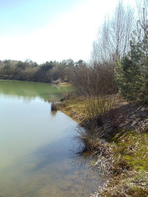 Baggersee in Gölenkamp by Sammyoetddy