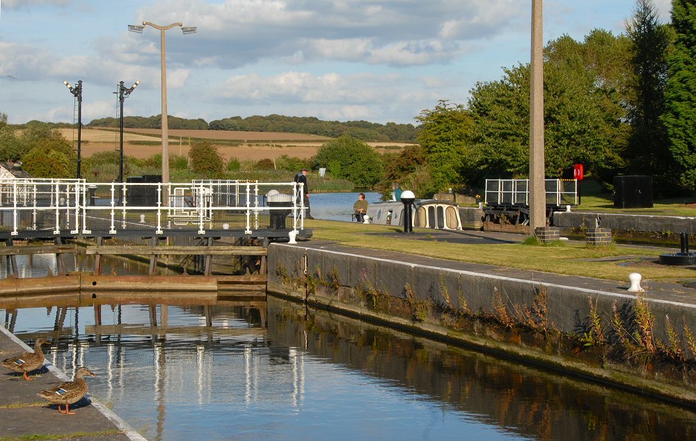 Dutton Locks by David Humphreys