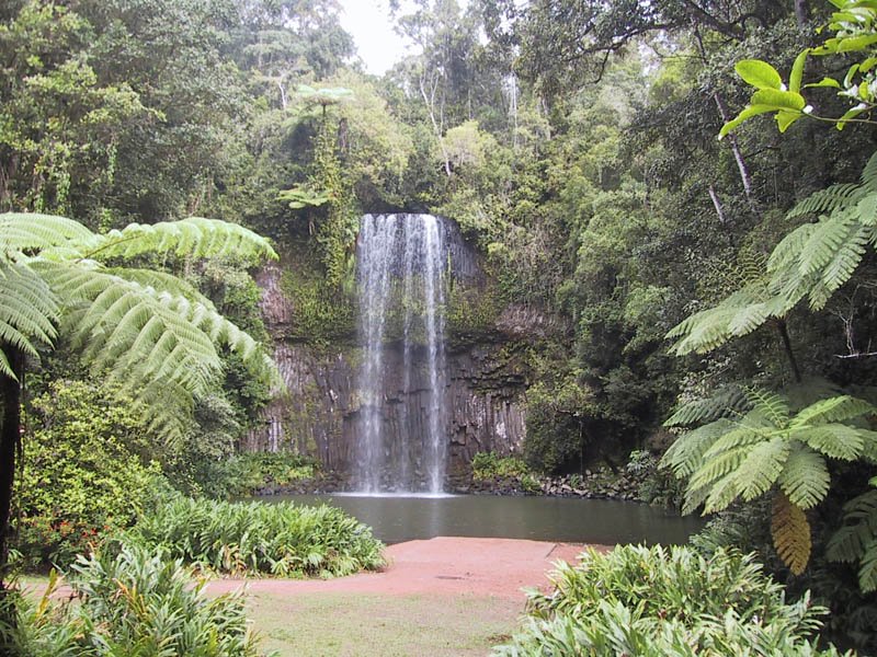 Millaa Millaa falls, QLD by garrych