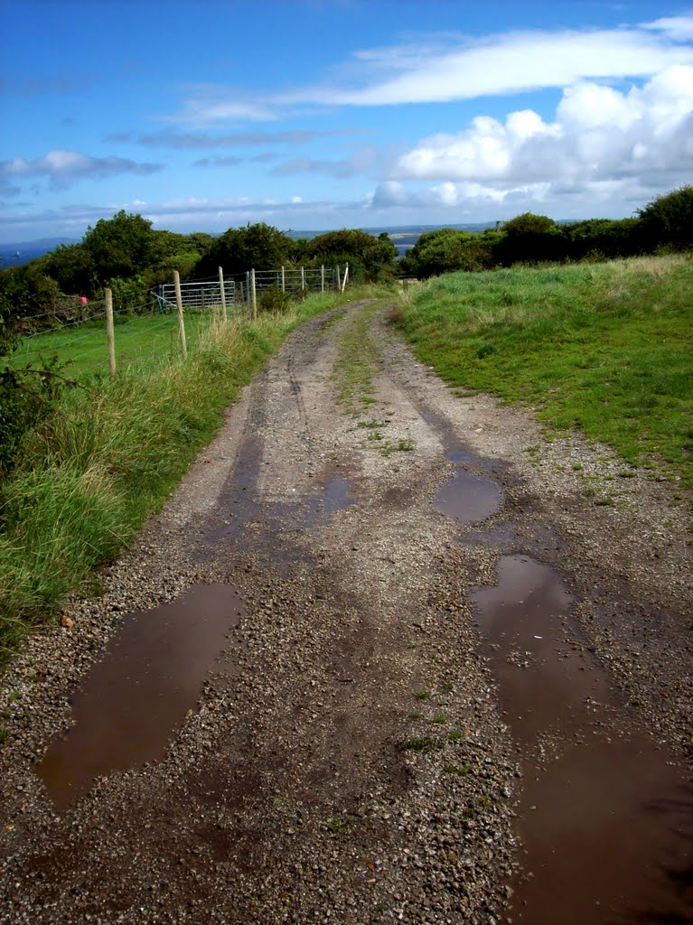 Rough track off Trenwith lane in St.Ives,Cornwall by Chris Scaysbrook