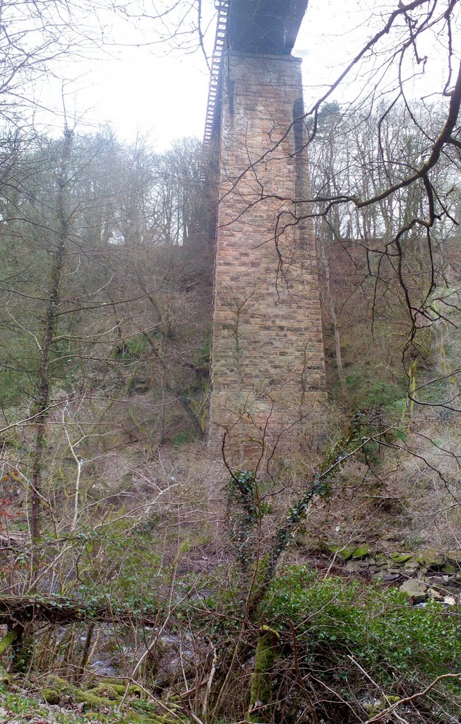 Railway Viaduct over River Avon,Larkhall.(1069) by Portmoreloch