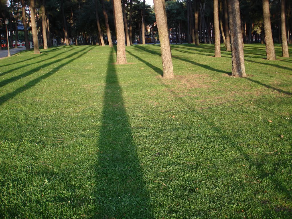 Atardecer en el parque del Temple. by Hikergoer