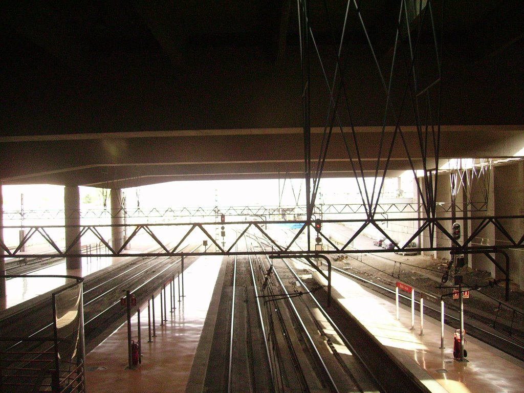 Estación de Cercanías de Atocha by Ricardo Ricote Rodrí…