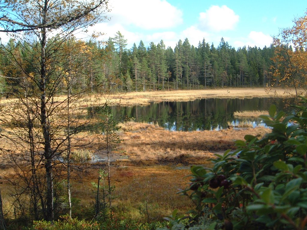 Fra Finnskogen by Jan Edvardsen