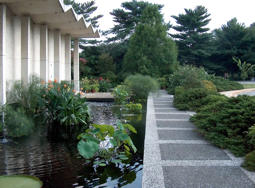 National Arboretum, Washington D.C. by Péter Kesselyák