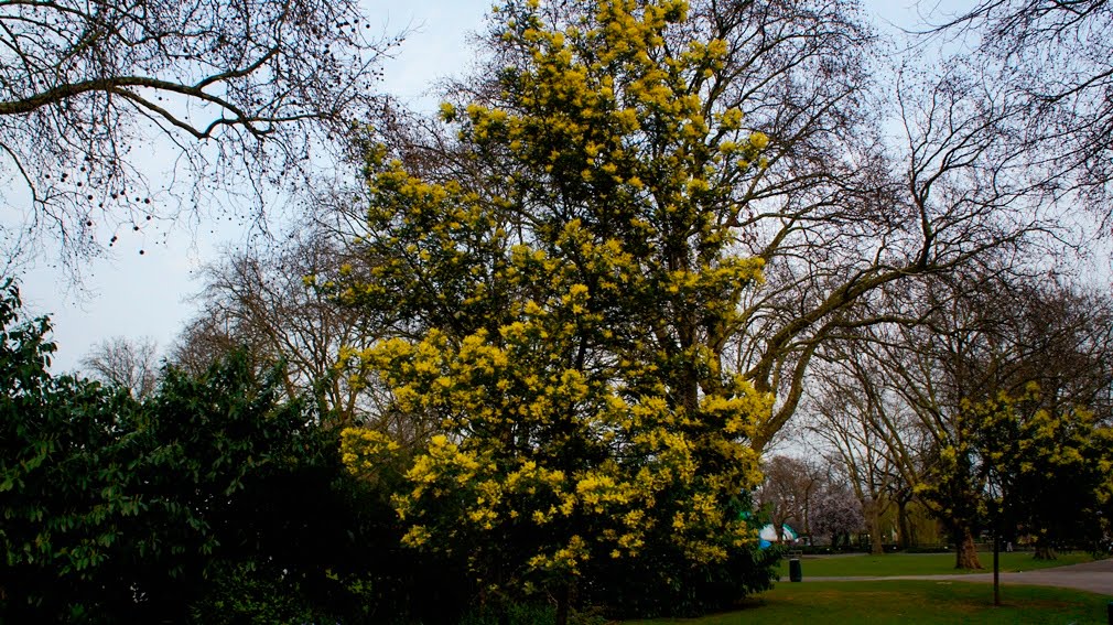 London Zoo by Paul HART