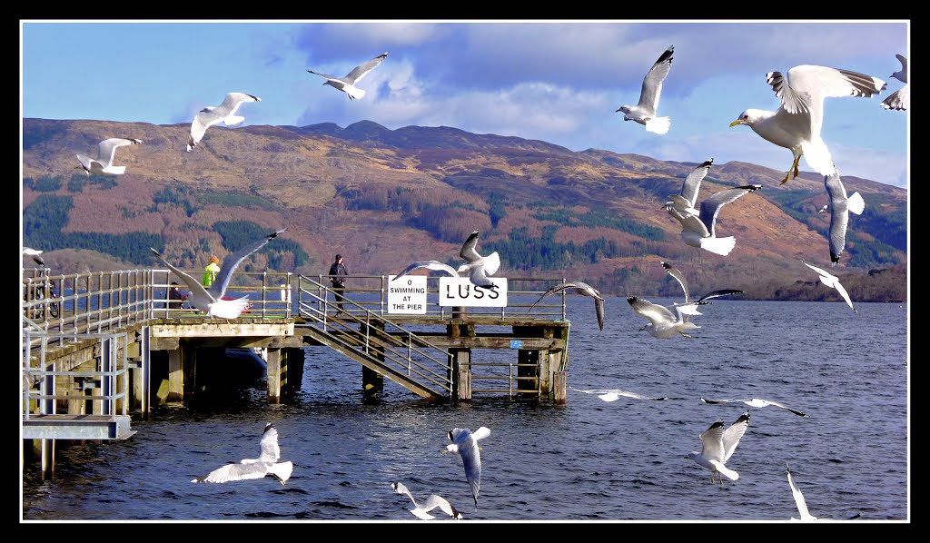 (février 2011 Luss, Ecosse) by Nick Ad@ms