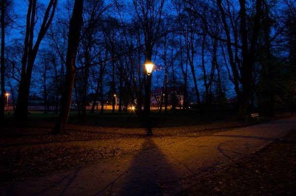 Park Decjusza nocą (2) by KHRoN