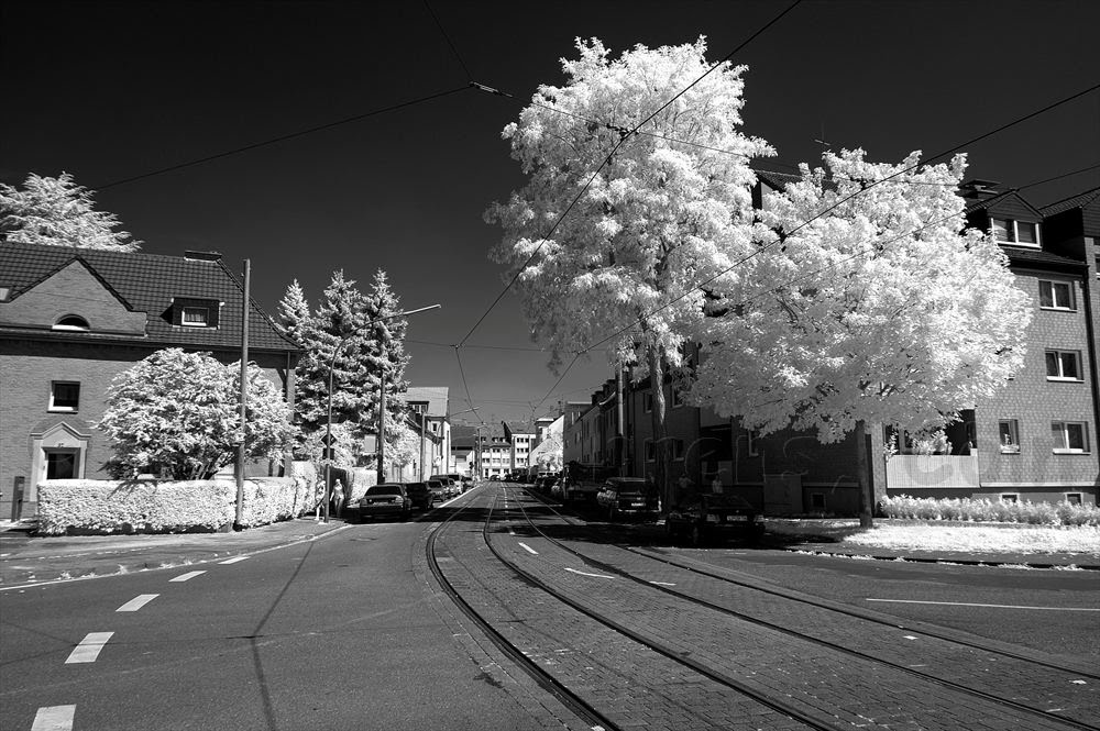 Mönchsgasse / Simonskaul, am KVB-Depot by pentaxmesuper