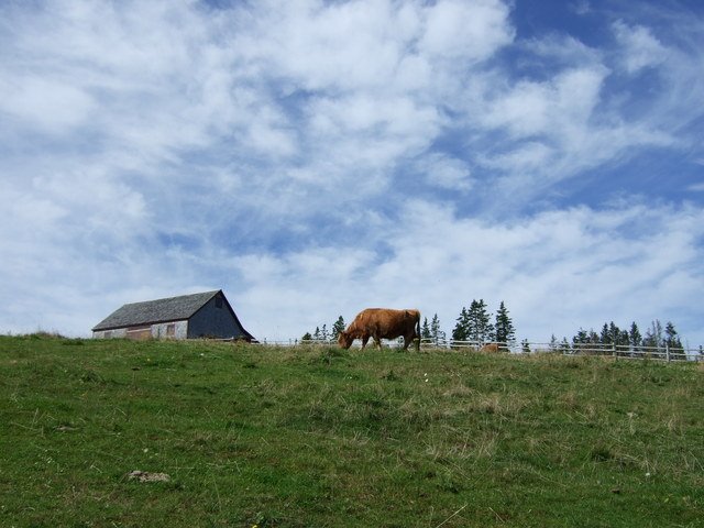 Pastures of Plenty... by jsahlberg