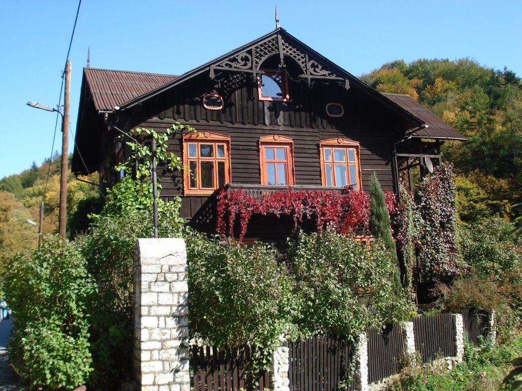 Wooden House by Robert Flur