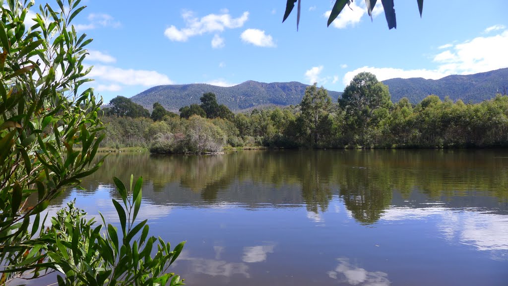 Tidbinbilla Nature Reserve 1 by Thomas Prinz