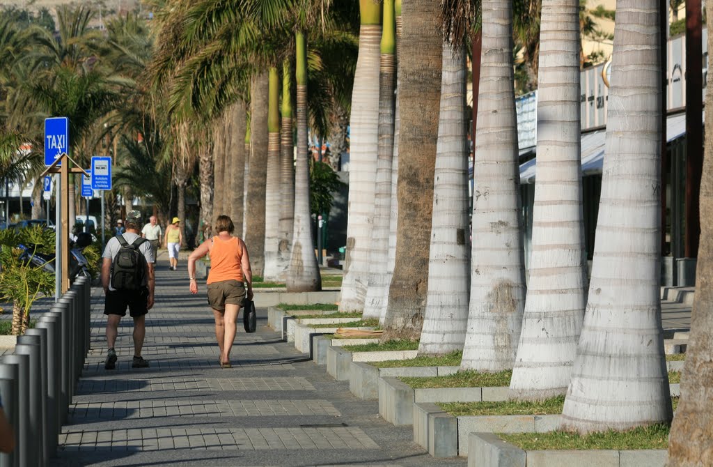 Palm Boulevard / Las Americas Tenerife (Spain) by Markus Nikkilä Photoshooter86