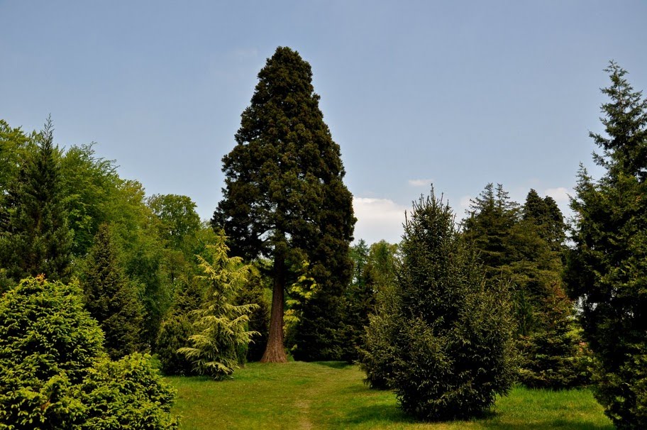 't Vinkennest Landschape by Jaap van Werven