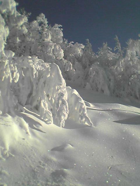 Nevicata 2006 by Andrea Losi