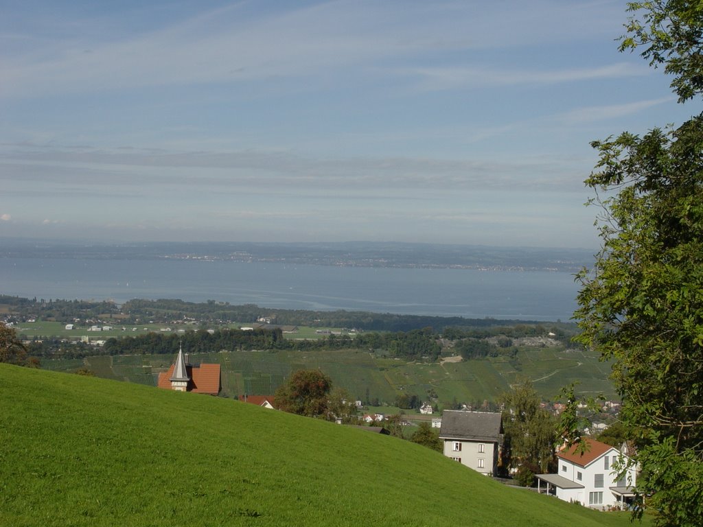 Wolfhalden: Aussicht auf Bodensee und Steinernen Tisch by franzhorvath