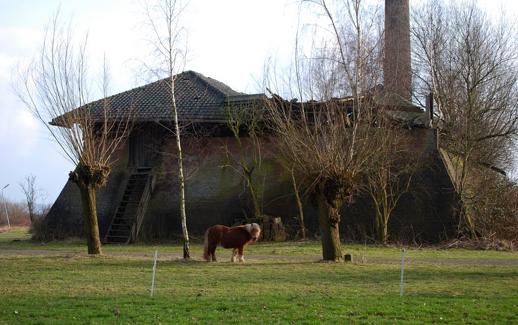 Stone-Brick Factory, Ruine, near river Lek by Hans J.S.C. Jongstra